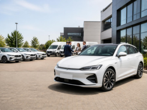 CARSALESINCREASE
