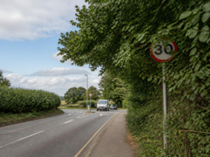 overgrown foliage blocking road signs