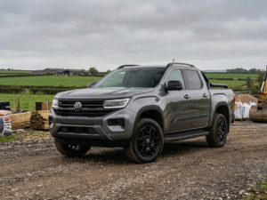 amarok - grey